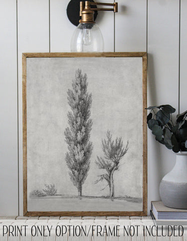 Vintage painting print/canvas art print/landscape/black and white sketch/tree sketch/home decor/canvas art/#136