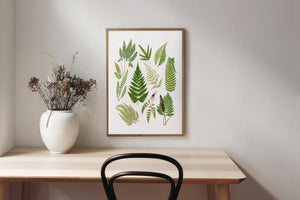 Fern chart prints/fern print/botanical wall art/canvas art print/wall art/home decor