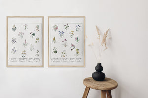 Botanical flower print/flower chart print/set of 2/botanical wall art/canvas art print/wall art/home decor