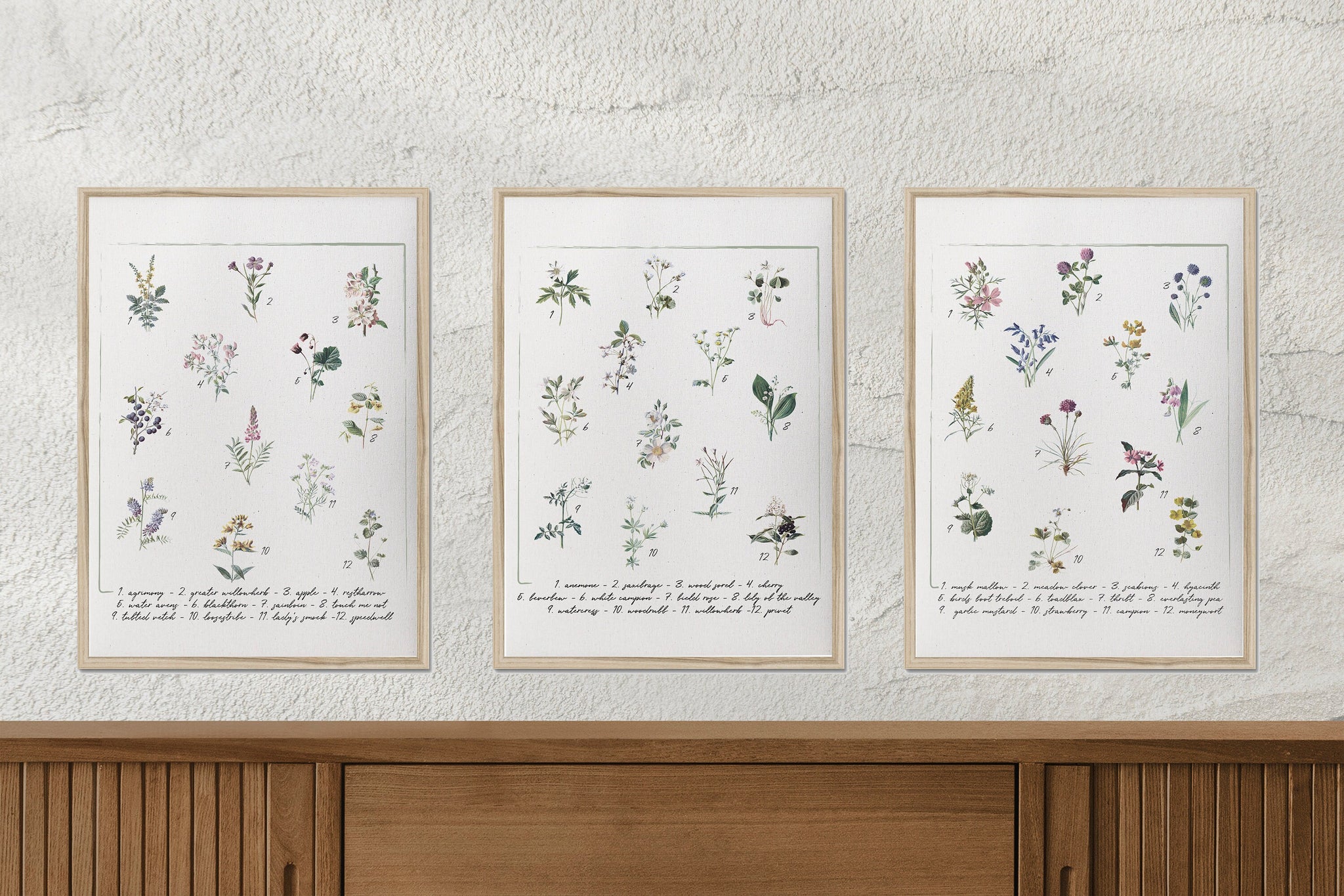 Botanical flower print/flower chart print/set of 3/botanical wall art/canvas art print/wall art/home decor