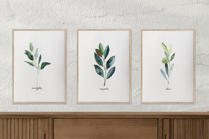 Eucalyptus olive magnolia prints/tree branch print set/botanical wall art/canvas art print/wall art/home decor